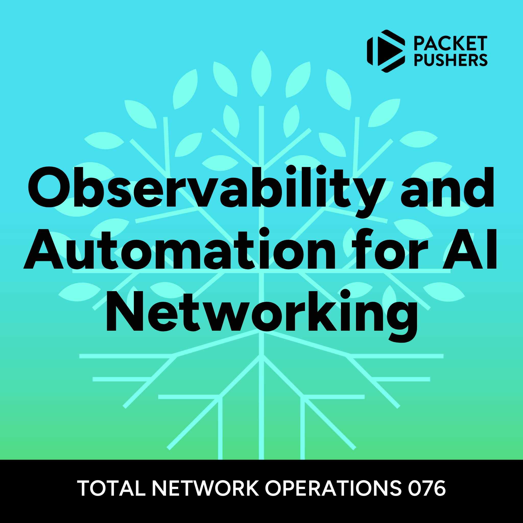 TNO076: Observability and Automation for AI Networking